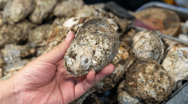 Food Guide: Lee Garden Night Market