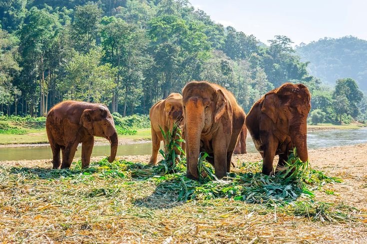 kid-friendly destinations