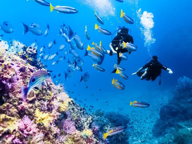 best scuba diving sites in Thailand