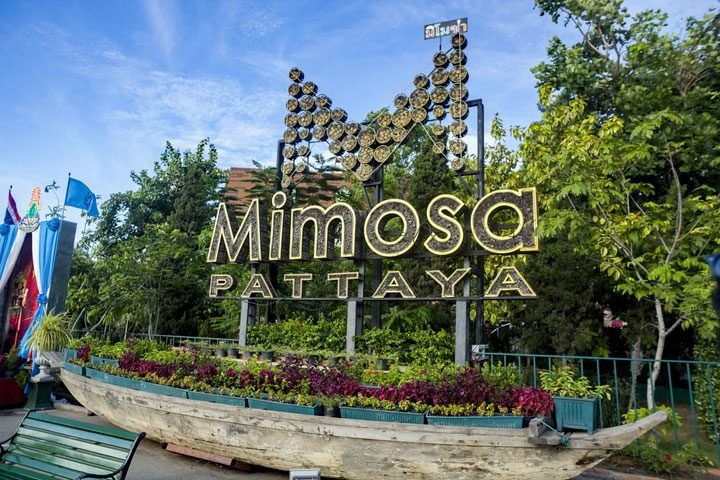 Family Activities in Pattaya