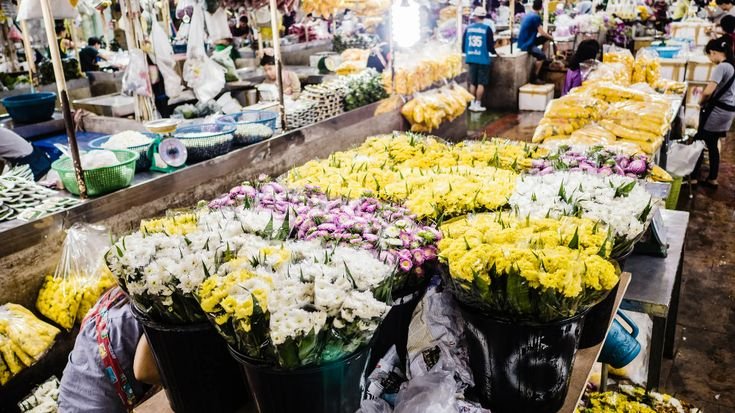 Things to do in Bangkok - Pak Khlong Talat