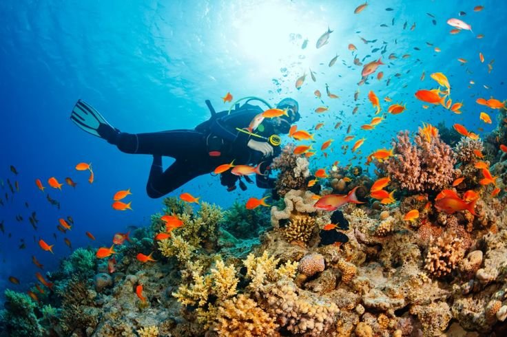 best scuba diving sites in Thailand